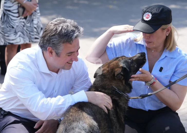 Fuerza canina: El rol clave de los perros en los operativos de la PDI