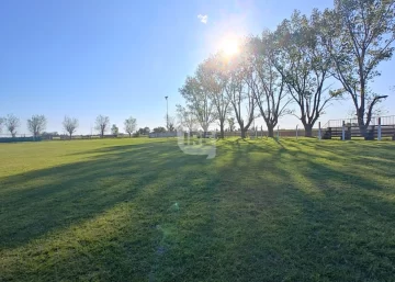 Unión de Clarke sortea 12 premios en su gran rifa del 25 de octubre Unión de Clarke sortea 12 premios en su gran rifa del 25 de octubre