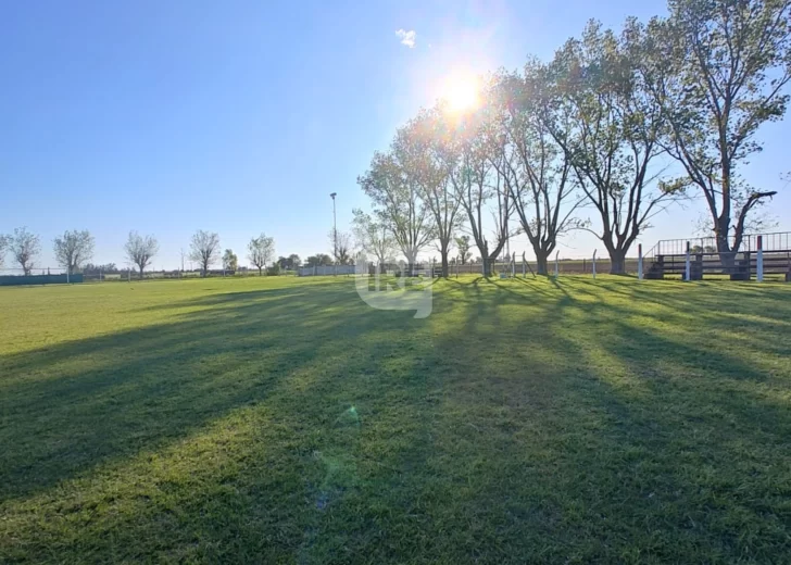 Unión de Clarke sortea 12 premios en su gran rifa del 25 de octubre Unión de Clarke sortea 12 premios en su gran rifa del 25 de octubre