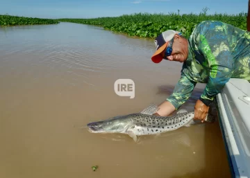 El Gobierno de la Provincia prohíbe la pesca de surubí para cuidar la especie El Gobierno de la Provincia prohíbe la pesca de surubí para cuidar la especie