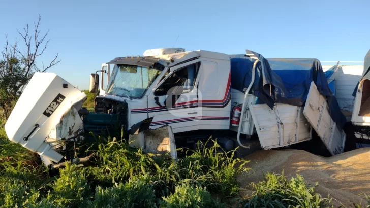 Un camión se despistó y chocó contra un árbol en la Ruta 11, a la altura de Monje Un camión se despistó y chocó contra un árbol en la Ruta 11, a la altura de Monje