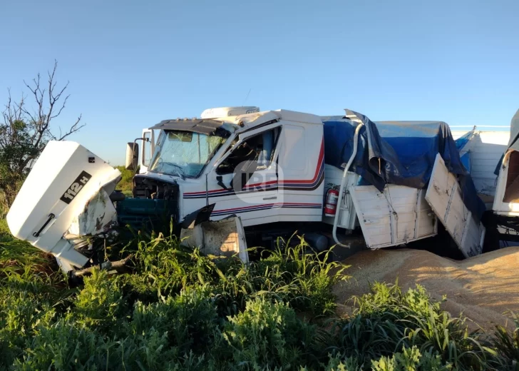 Un camión se despistó y chocó contra un árbol en la Ruta 11, a la altura de Monje