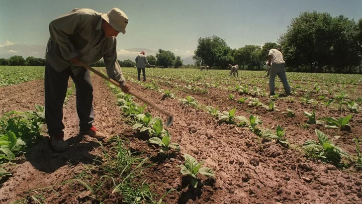 Día del Trabajador Rural: Una historia de derechos, lucha y orgullo en el campo
