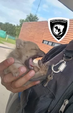 whatsapp_image_2025-10-29_at_09_50_10.jpeg_1367894061-469x728