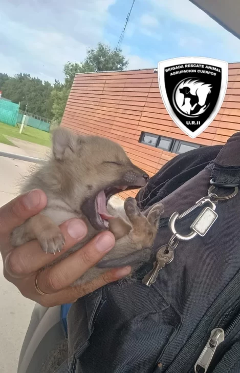 whatsapp_image_2025-10-29_at_09_50_10.jpeg_1367894061-469x728