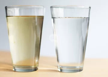 Arsénico en el agua: El mapa por localidad para saber si el agua de tu casa es segura Arsénico en el agua: El mapa por localidad para saber si el agua de tu casa es segura