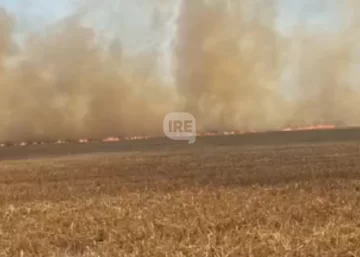 Incendio en Maciel: Las llamas arrasaron casi dos campos y el viento complicó todo