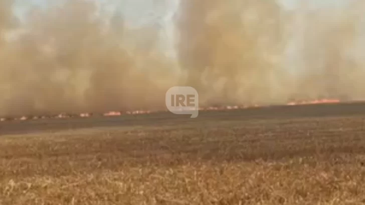 Incendio en Maciel: Las llamas arrasaron casi dos campos y el viento complicó todo