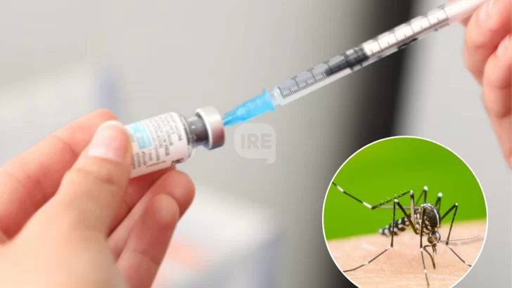 Santa Fe refuerza la vacunación contra el dengue: Más de 145.000 dosis aplicadas