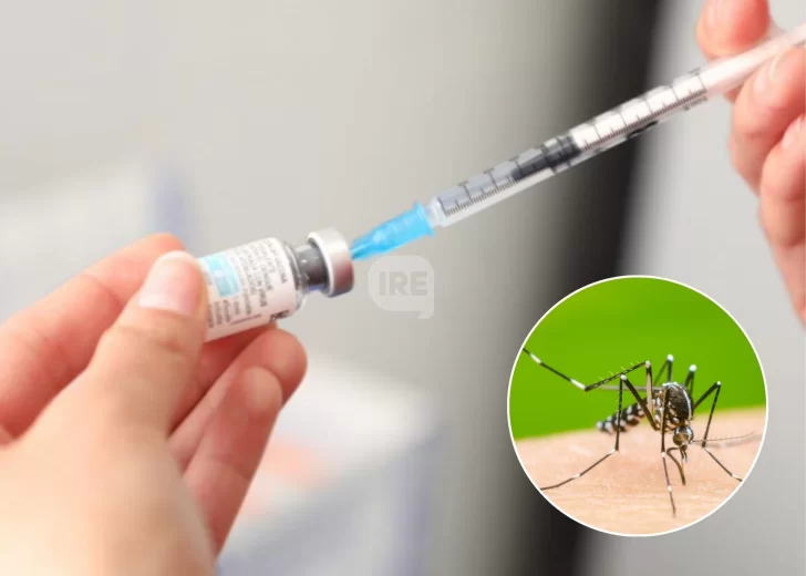 Santa Fe refuerza la vacunación contra el dengue: Más de 145.000 dosis aplicadas Santa Fe refuerza la vacunación contra el dengue: Más de 145.000 dosis aplicadas