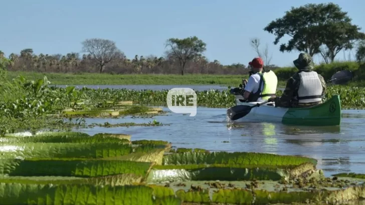 Antes de las fiestas, un descanso más: Noviembre trae el último fin de semana XXL