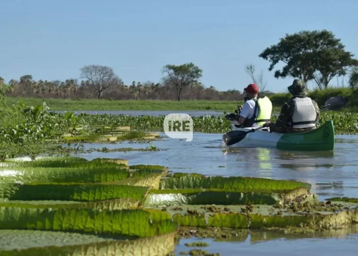Antes de las fiestas, un descanso más: Noviembre trae el último fin de semana XXL