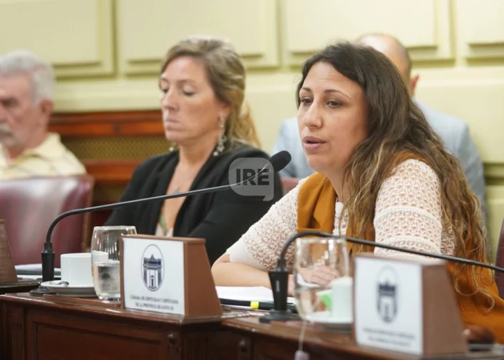 Fentanilo contaminado: La Cámara de Diputados respalda a familiares y exige claridad en la investigación