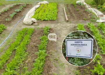 Oliveros cultiva comunidad: Invitan a participar de la huerta agroecológica