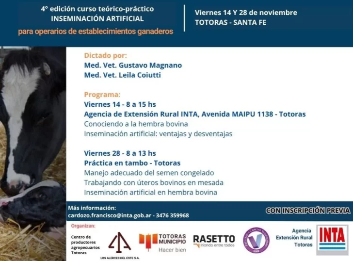 Imagen-de-WhatsApp-2025-11-04-a-las-15.08.29_f5055682-728x538 Imagen-de-WhatsApp-2025-11-04-a-las-15.08.29_f5055682-728x538