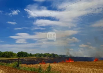 San Genaro: Un llamado anónimo alertó un incendio en la zona rural y Bomberos evitaron que se expandiera