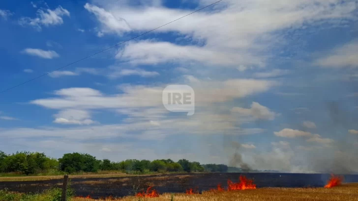 San Genaro: Un llamado anónimo alertó un incendio en la zona rural y Bomberos evitaron que se expandiera