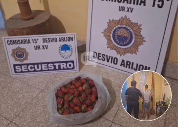 Lo sorprendieron robando frutillas, huyó en bicicleta, insultó a la policía y quedó detenido