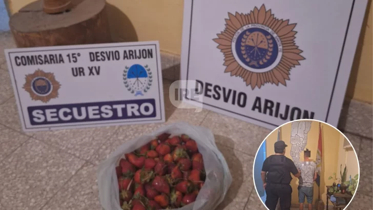 Lo sorprendieron robando frutillas, huyó en bicicleta, insultó a la policía y quedó detenido