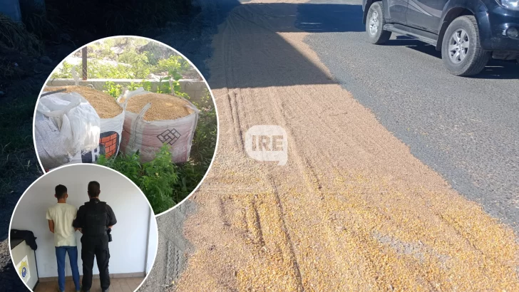 Detenido por robar maíz en Puerto San Martín: Lo encontraron juntando más de 3 toneladas