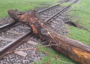 Un juego que pudo ser tragedia: Jóvenes dejaron un tronco enorme sobre las vías en Oliveros