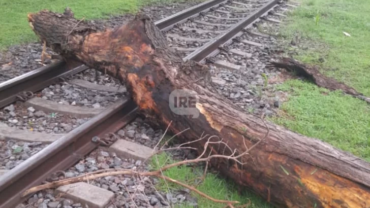 Un juego que pudo ser tragedia: Jóvenes dejaron un tronco enorme sobre las vías en Oliveros