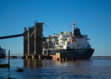 El puerto de Timbúes hace historia: Terminales y Servicios es la primera inversión santafesina aprobada bajo el RIGI