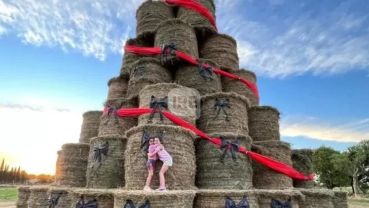 El árbol navideño más inesperado: María Susana sorprende con una obra gigante hecha con fardos El árbol navideño más inesperado: María Susana sorprende con una obra gigante hecha con fardos