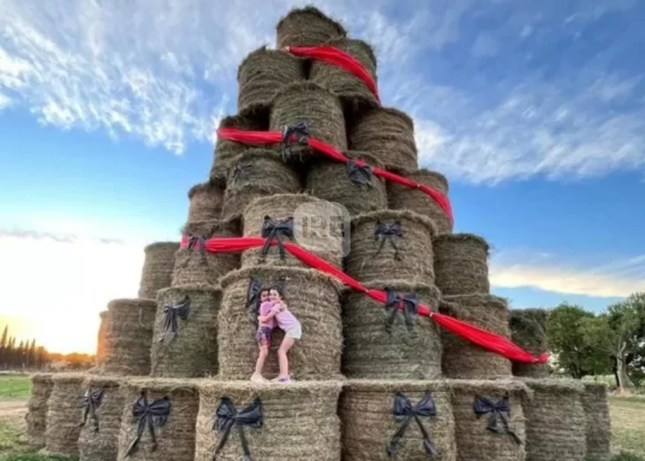 El árbol navideño más inesperado: María Susana sorprende con una obra gigante hecha con fardos