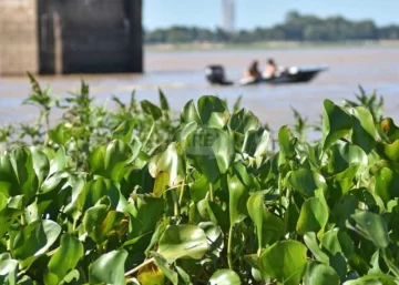 ¿Comer camalote? La revelación de Maxi Leo Schulz en las islas de Puerto Gaboto