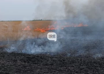 Bomberos Voluntarios de Barrancas controlaron un incendio en un campo de Monje