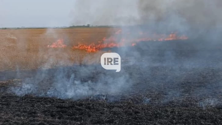 Bomberos Voluntarios de Barrancas controlaron un incendio en un campo de Monje