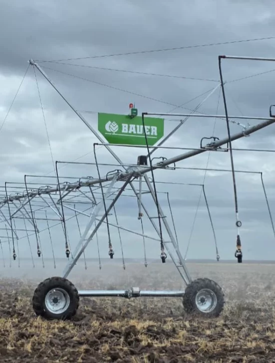 Imagen-de-WhatsApp-2025-12-02-a-las-15.42.57_2947b28e-551x728 Imagen-de-WhatsApp-2025-12-02-a-las-15.42.57_2947b28e-551x728