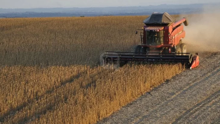 Nueva baja de retenciones: Buscan potenciar producción y exportaciones