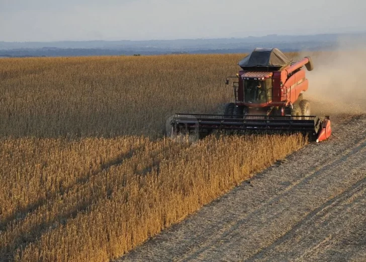 Nueva baja de retenciones: Buscan potenciar producción y exportaciones Nueva baja de retenciones: Buscan potenciar producción y exportaciones