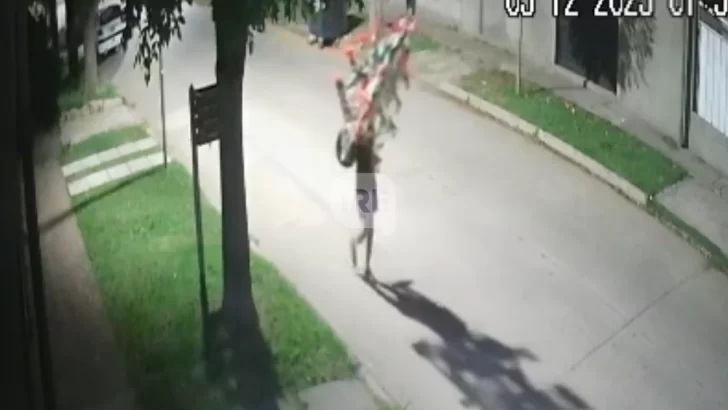 Insólito robo del árbol de Navidad en la parroquia de Beltrán quedó registrado en cámaras