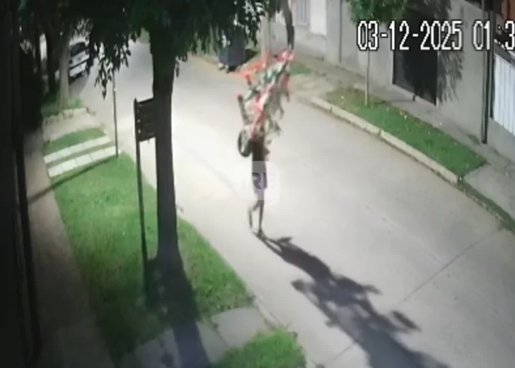 Insólito robo del árbol de Navidad en la parroquia de Beltrán quedó registrado en cámaras Insólito robo del árbol de Navidad en la parroquia de Beltrán quedó registrado en cámaras