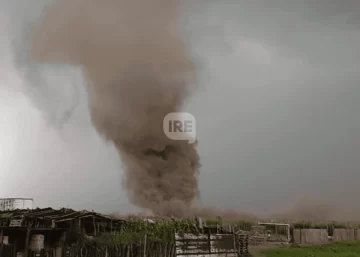 El cielo se oscureció y apareció un remolino imparable: Tensión y árboles caídos en Carcarañá