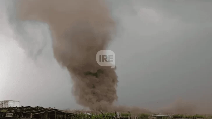 El cielo se oscureció y apareció un remolino imparable: Tensión y árboles caídos en Carcarañá