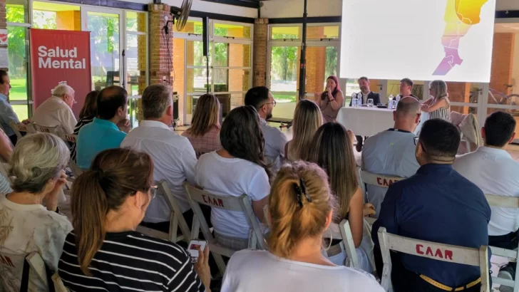 Santa Fe impulsa mesas intersectoriales en todo el territorio para fortalecer el abordaje comunitario del suicidio