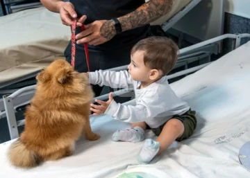 Un abrazo en cuatro patas: Zafira y Cala inauguran el programa terapéutico del Hospital Vilela