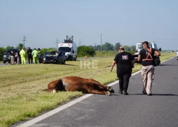 Fatal accidente en la autopista Rosario–Santa Fe: Un hombre perdió la vida al impactar contra un caballo Fatal accidente en la autopista Rosario–Santa Fe: Un hombre perdió la vida al impactar contra un caballo