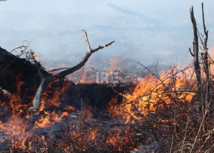 Alertan por efectos tóxicos que dejan los incendios en las islas del Paraná Alertan por efectos tóxicos que dejan los incendios en las islas del Paraná