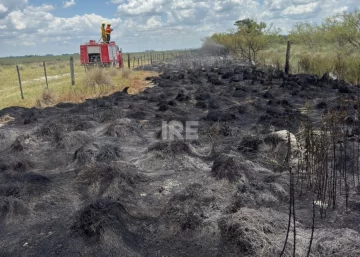 Los bomberos de Totoras apagaron el fuego de un monte y piden frenar los incendios intencionales Los bomberos de Totoras apagaron el fuego de un monte y piden frenar los incendios intencionales