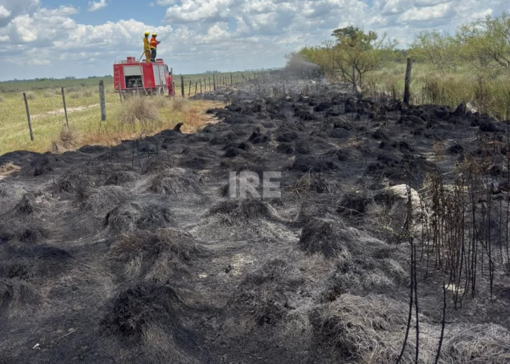 Los bomberos de Totoras apagaron el fuego de un monte y piden frenar los incendios intencionales Los bomberos de Totoras apagaron el fuego de un monte y piden frenar los incendios intencionales