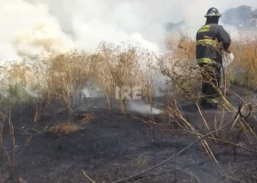 Altas temperaturas y fuego: Se repitió un incendio de pastos en San Lorenzo Altas temperaturas y fuego: Se repitió un incendio de pastos en San Lorenzo