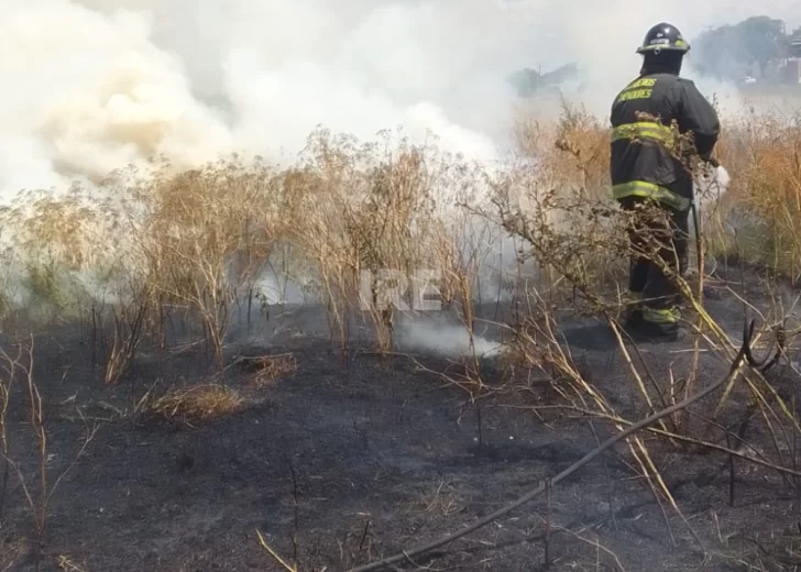 Altas temperaturas y fuego: Se repitió un incendio de pastos en San Lorenzo Altas temperaturas y fuego: Se repitió un incendio de pastos en San Lorenzo