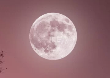 Cuándo ver la Luna Rosa 2026 en Argentina: Hora, significado y detalles del fenómeno Cuándo ver la Luna Rosa 2026 en Argentina: Hora, significado y detalles del fenómeno