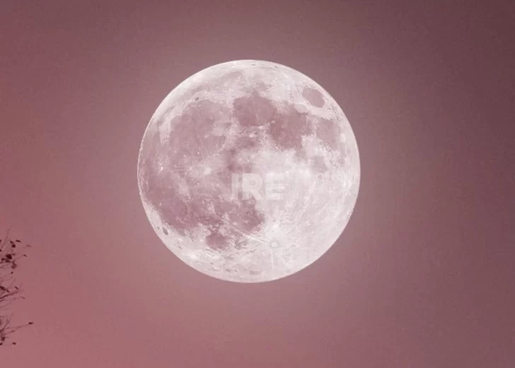 Cuándo ver la Luna Rosa 2026 en Argentina: Hora, significado y detalles del fenómeno Cuándo ver la Luna Rosa 2026 en Argentina: Hora, significado y detalles del fenómeno