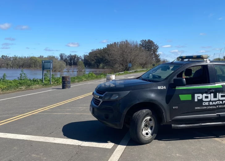 Totoras: Imputaron a un conductor por circular con licencia de conducir falsa Totoras: Imputaron a un conductor por circular con licencia de conducir falsa